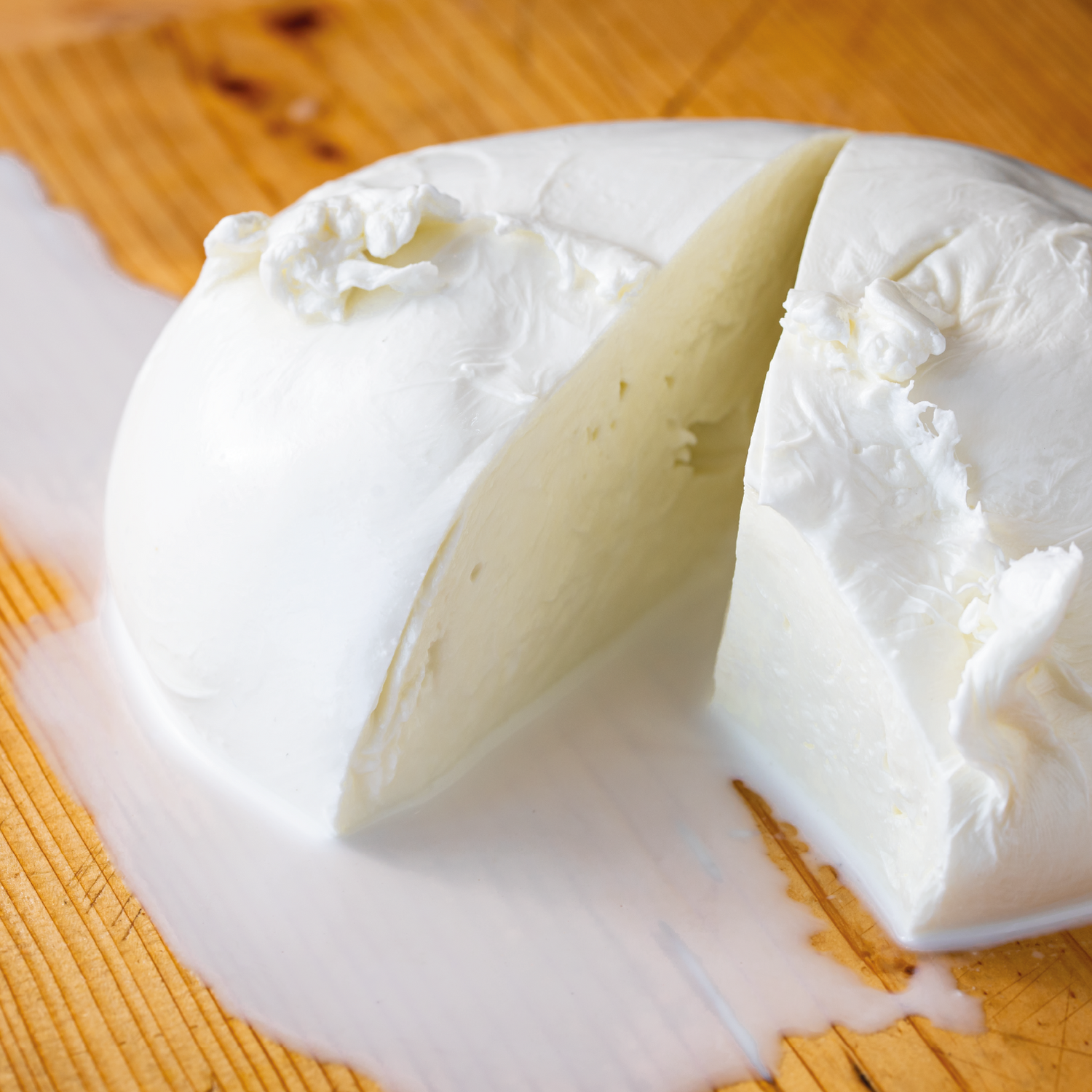 Zizzona di latte di Bufala