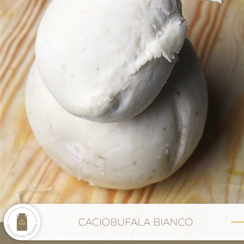 Caciobufala bianco.