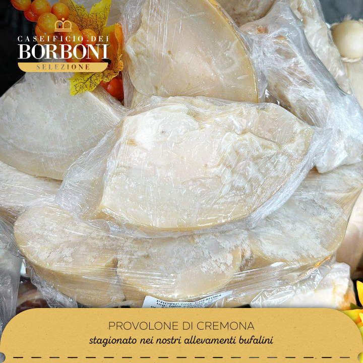 Foto provolone di Cremona.